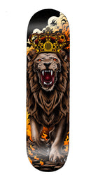 Standard 7 Lion Ayshn-1